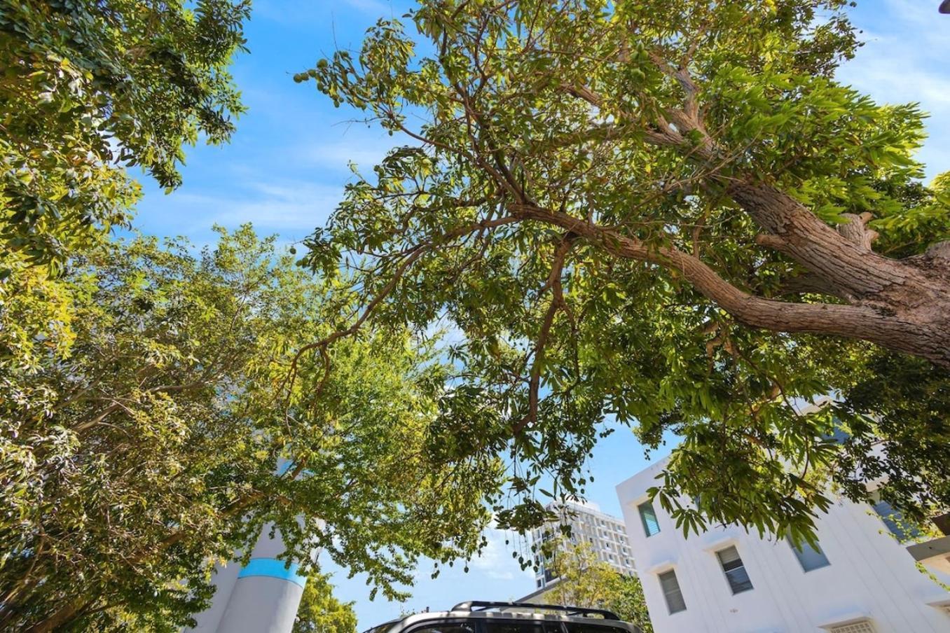 Hidden Gem In Miramar- Power Generator- Parking Apartment San Juan Exterior photo