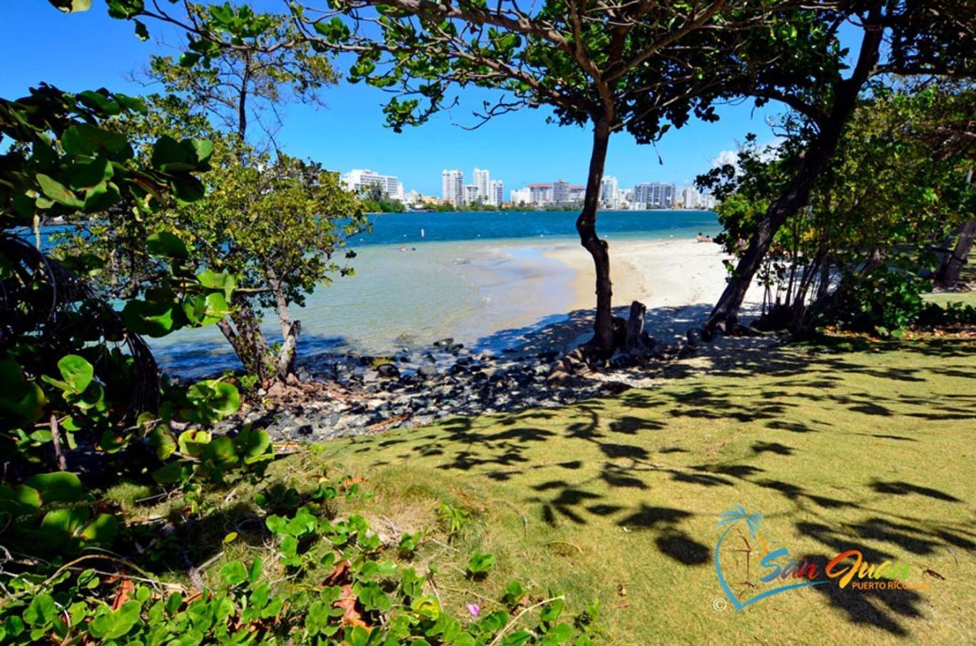 Hidden Gem In Miramar- Power Generator- Parking Apartment San Juan Exterior photo